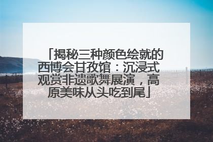 揭秘三种颜色绘就的西博会甘孜馆：沉浸式观赏非遗歌舞展演，高原美味从头吃到尾