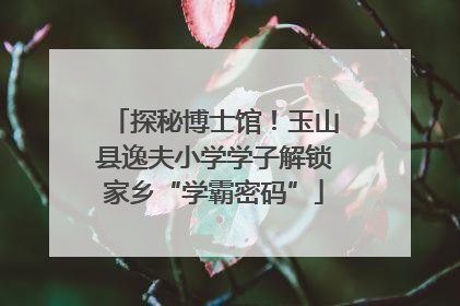探秘博士馆！玉山县逸夫小学学子解锁家乡“学霸密码”