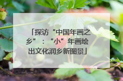 探访“中国年画之乡”：“小”年画绘出文化润乡新图景