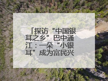 探访“中国银耳之乡”巴中通江：一朵“小银耳”成为富民兴县“大产业”