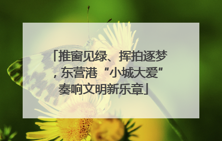 推窗见绿、挥拍逐梦，东营港“小城大爱”奏响文明新乐章