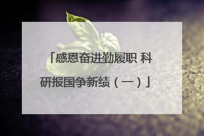 感恩奋进勤履职 科研报国争新绩（一）