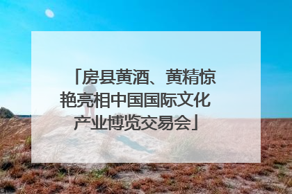 房县黄酒、黄精惊艳亮相中国国际文化产业博览交易会
