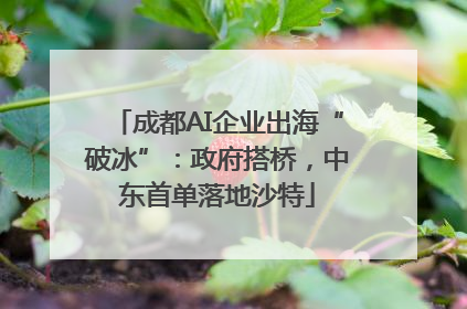 成都AI企业出海“破冰”：政府搭桥，中东首单落地沙特