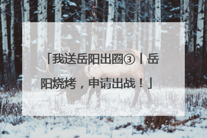 我送岳阳出圈③丨岳阳烧烤，申请出战！