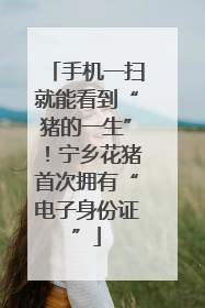 手机一扫就能看到“猪的一生”！宁乡花猪首次拥有“电子身份证”