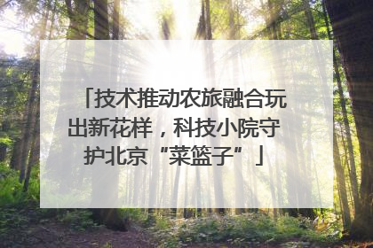 技术推动农旅融合玩出新花样，科技小院守护北京“菜篮子”