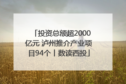 投资总额超2000亿元 泸州推介产业项目94个丨数读西投