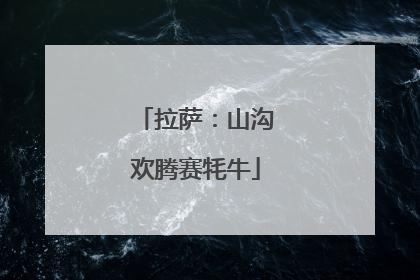 拉萨：山沟欢腾赛牦牛