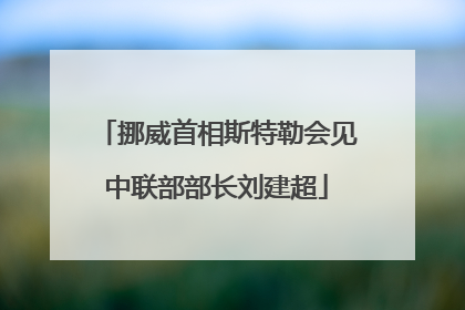 挪威首相斯特勒会见中联部部长刘建超