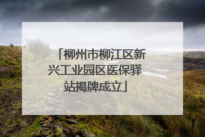 柳州市柳江区新兴工业园区医保驿站揭牌成立