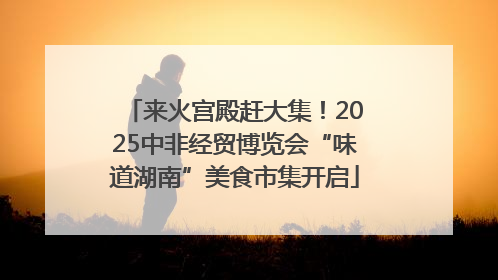 来火宫殿赶大集！2025中非经贸博览会“味道湖南”美食市集开启