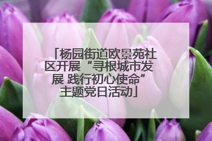 杨园街道欧景苑社区开展“寻根城市发展 践行初心使命”主题党日活动