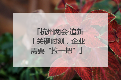 杭州两会·追新丨关键时刻，企业需要“拉一把”