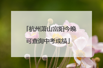 杭州萧山富阳今晚可查询中考成绩