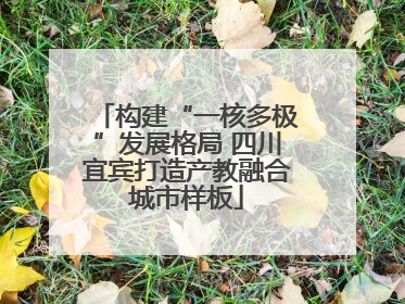 构建“一核多极”发展格局 四川宜宾打造产教融合城市样板