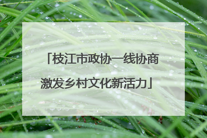 枝江市政协一线协商激发乡村文化新活力