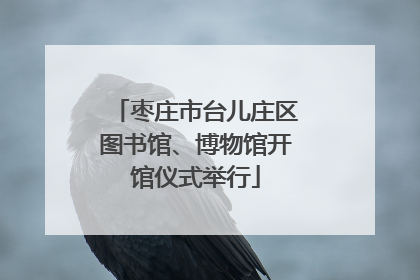 枣庄市台儿庄区图书馆、博物馆开馆仪式举行