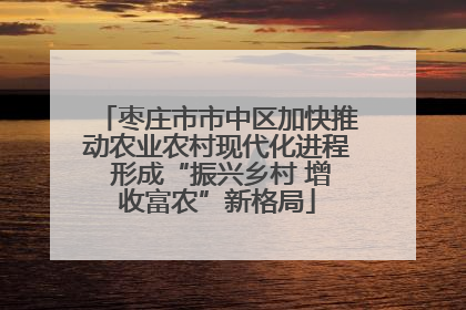 枣庄市市中区加快推动农业农村现代化进程 形成“振兴乡村 增收富农”新格局