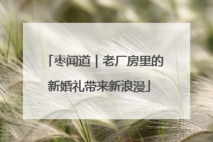枣闻道｜老厂房里的新婚礼带来新浪漫
