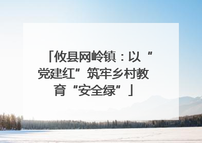 攸县网岭镇：以“党建红”筑牢乡村教育“安全绿”