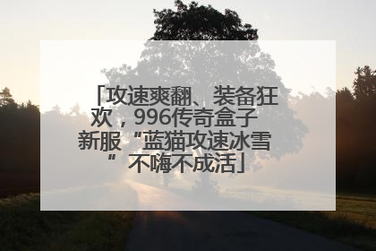 攻速爽翻、装备狂欢，996传奇盒子新服“蓝猫攻速冰雪”不嗨不成活