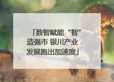 数智赋能“智”造强市 银川产业发展跑出加速度