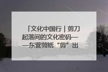 文化中国行｜剪刀起落间的文化密码——东营剪纸“剪”出非遗传承与现代生活的融合之道