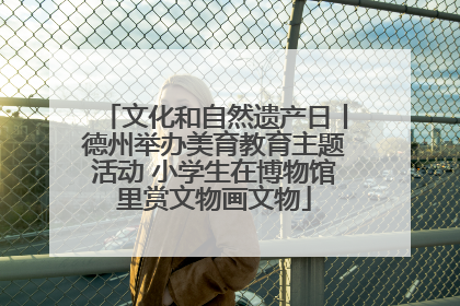 文化和自然遗产日丨德州举办美育教育主题活动 小学生在博物馆里赏文物画文物