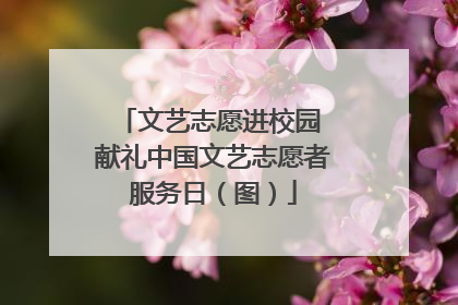 文艺志愿进校园 献礼中国文艺志愿者服务日（图）