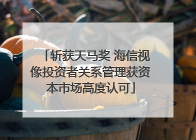 斩获天马奖 海信视像投资者关系管理获资本市场高度认可
