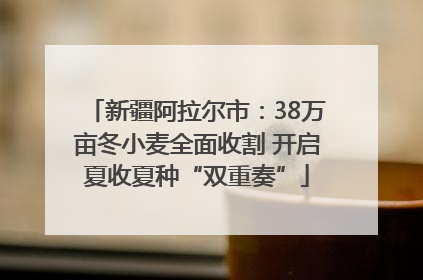 新疆阿拉尔市：38万亩冬小麦全面收割 开启夏收夏种“双重奏”