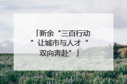 新余“三百行动”让城市与人才“双向奔赴”