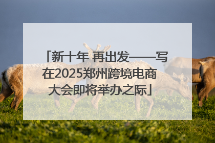 新十年 再出发——写在2025郑州跨境电商大会即将举办之际