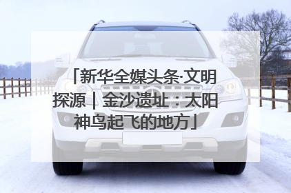 新华全媒头条·文明探源｜金沙遗址：太阳神鸟起飞的地方