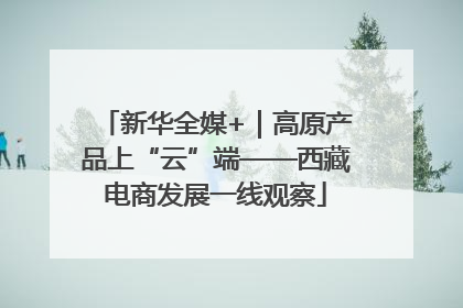 新华全媒+｜高原产品上“云”端——西藏电商发展一线观察