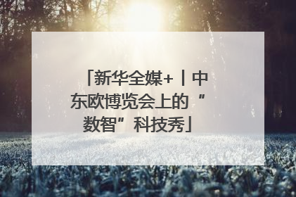 新华全媒+丨中东欧博览会上的“数智”科技秀