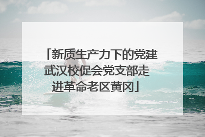 新质生产力下的党建 武汉校促会党支部走进革命老区黄冈