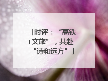 时评：“高铁+文旅”，共赴“诗和远方”
