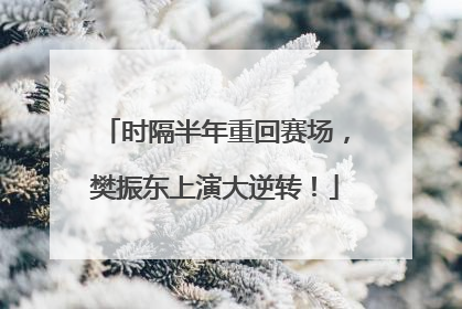 时隔半年重回赛场，樊振东上演大逆转！