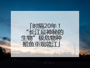 时隔20年！“长江最神秘的生物”极危物种鳤鱼重现赣江