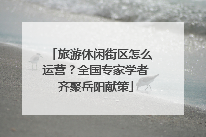 旅游休闲街区怎么运营？全国专家学者齐聚岳阳献策