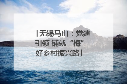 无锡马山：党建引领 铺就“梅”好乡村振兴路