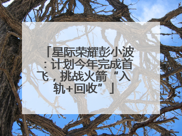 星际荣耀彭小波：计划今年完成首飞，挑战火箭“入轨+回收”