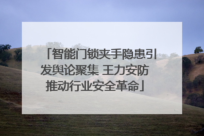 智能门锁夹手隐患引发舆论聚集 王力安防推动行业安全革命