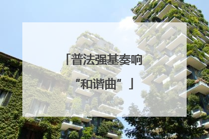 普法强基奏响“和谐曲”