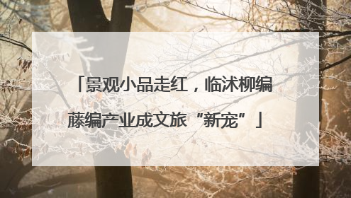 景观小品走红，临沭柳编藤编产业成文旅“新宠”