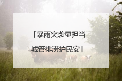 暴雨突袭显担当 城管排涝护民安