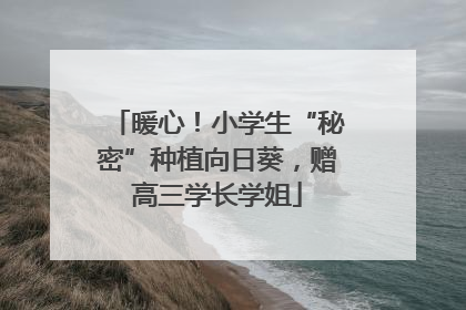 暖心！小学生“秘密”种植向日葵，赠高三学长学姐