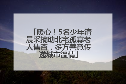暖心！5名少年清晨采摘助北宅孤寡老人售杏，多方善意传递城市温情